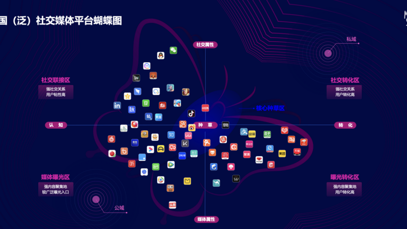 Instagram涨粉全攻略：从0到1万的高效策略